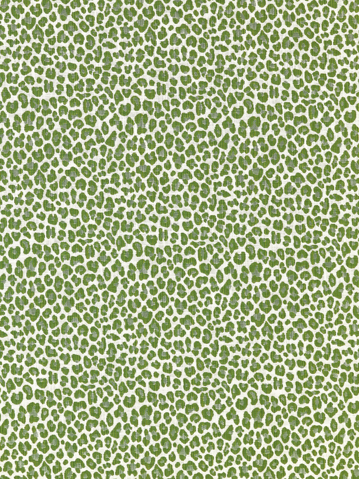 Scalamandre SC 000327316 IVY BACKYARD BENGAL Fabric - Eade's Wallpaper