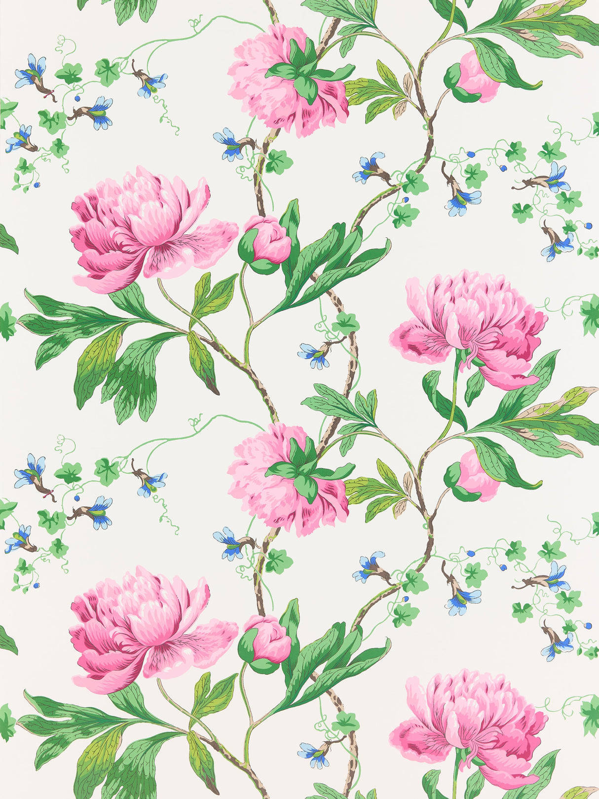 Scalamandre SC 0003WP88562 PETAL ISADORA WALLPAPER - Eade's Wallpaper