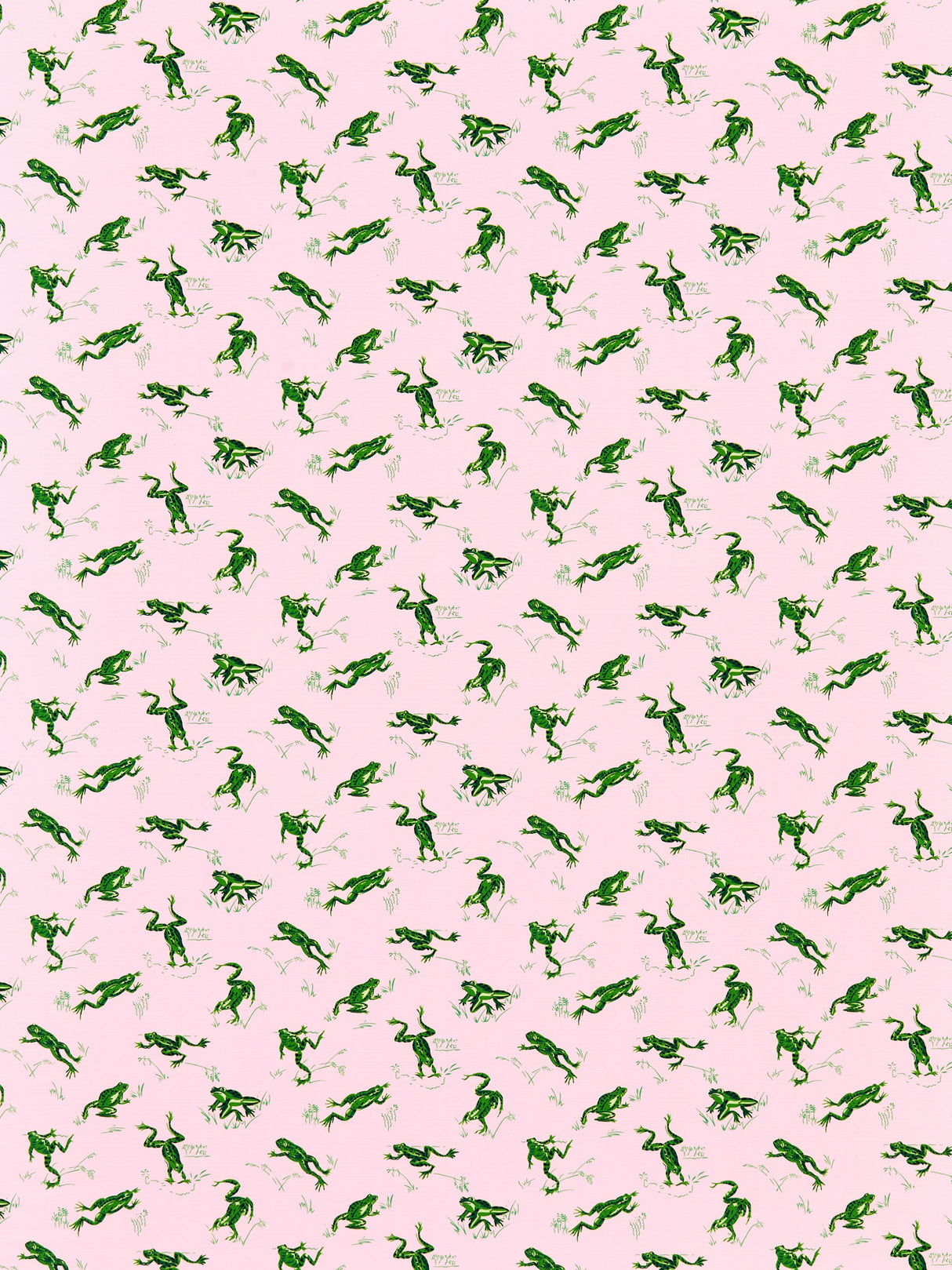 Scalamandre SC 000416426M CAMELIA CALABASAS COUNTY - OUTDOOR Fabric - Eade's Wallpaper