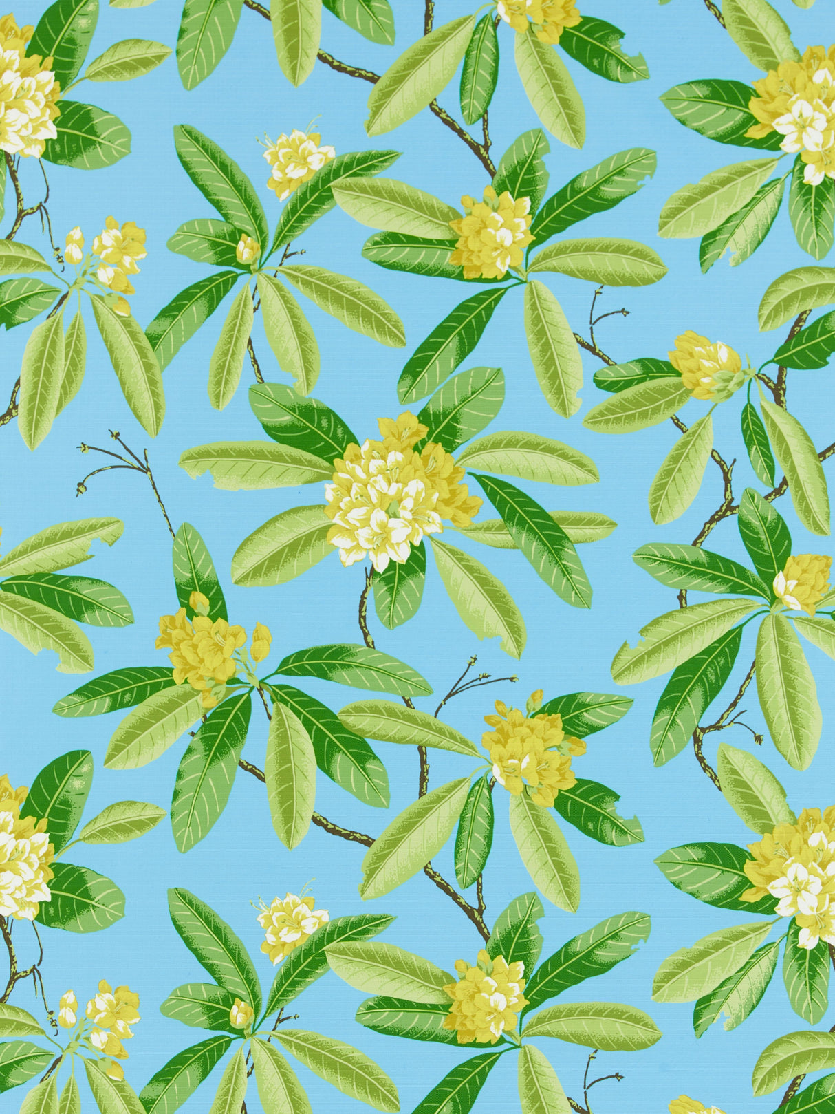 Scalamandre SC 000416454M CAROLINA RHODODENDRON - OUTDOOR Fabric - Eade's Wallpaper