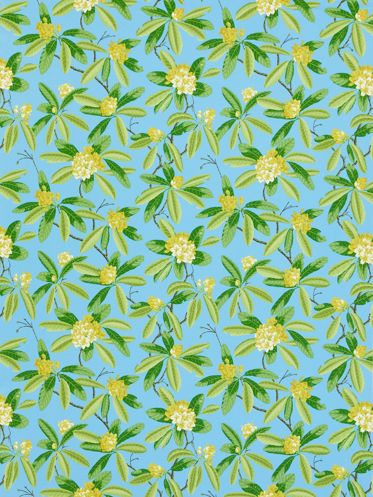 Scalamandre SC 000416454M CAROLINA RHODODENDRON - OUTDOOR Fabric - Eade's Wallpaper