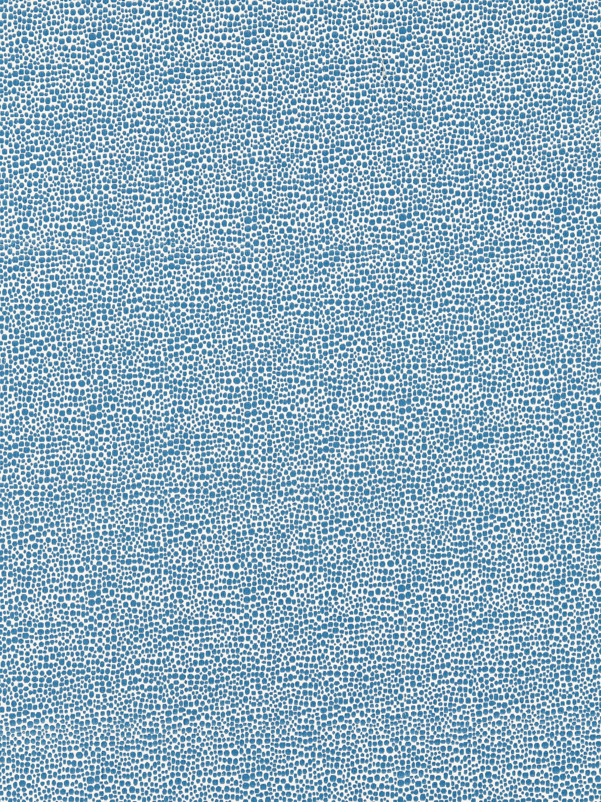Scalamandre SC 000526914M DELFT SHAGREEN Fabric - Eade's Wallpaper