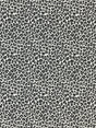 Scalamandre SC 000527316 SLATE BACKYARD BENGAL Fabric - Eade's Wallpaper