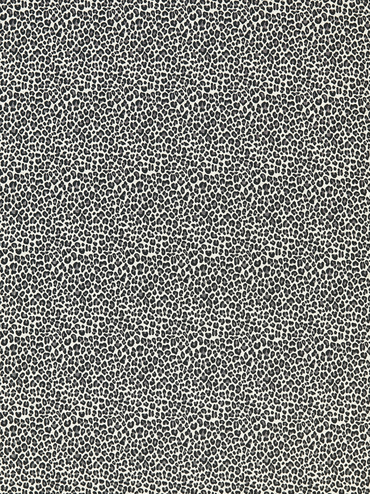 Scalamandre SC 000527316 SLATE BACKYARD BENGAL Fabric - Eade's Wallpaper