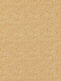 Scalamandre SC 000626914M BEIGE SHAGREEN Fabric - Eade's Wallpaper