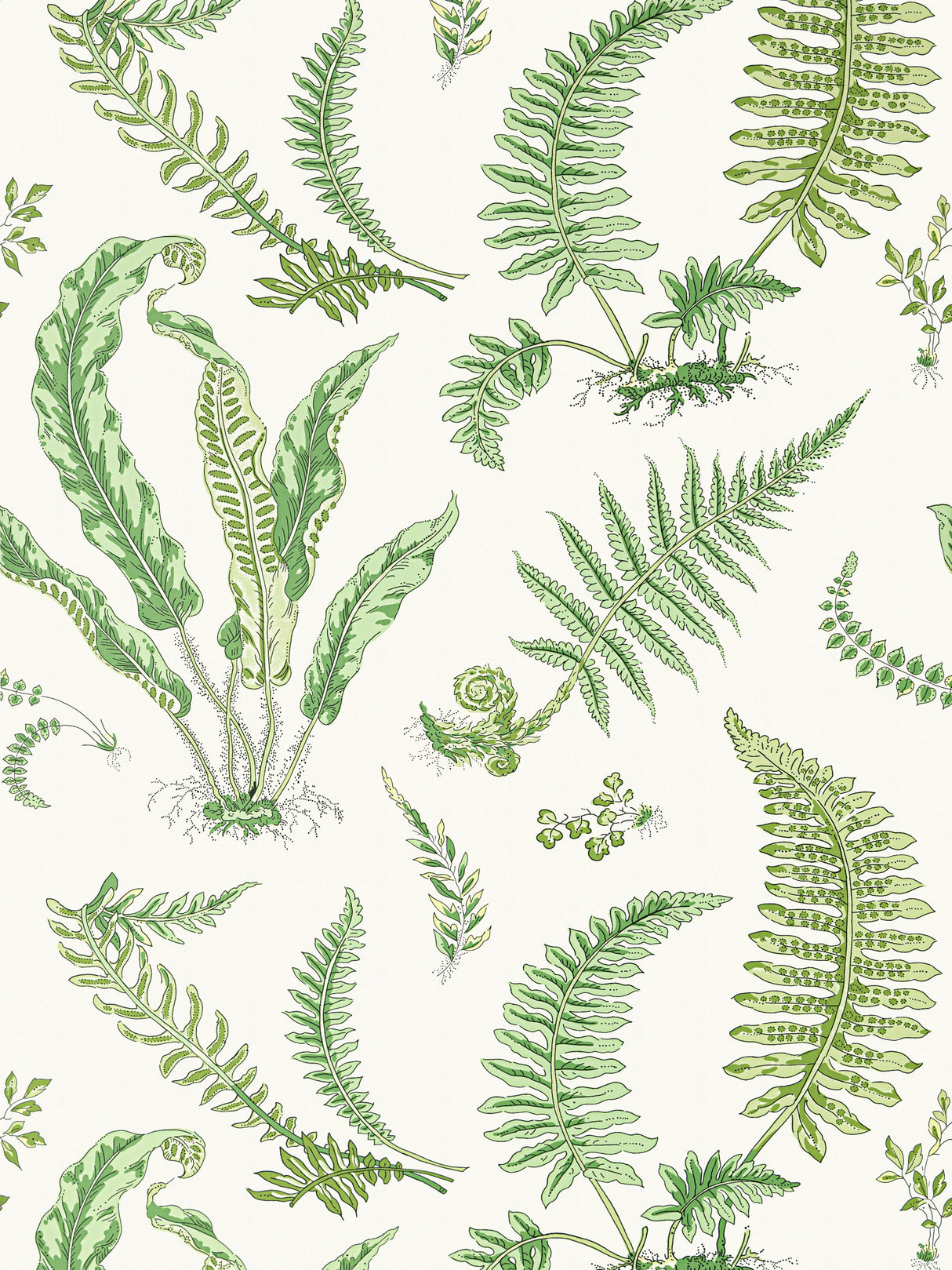Scalamandre SC 0006WP88592D FERN ELSIE DE WOLFE WALLPAPER - Eade's Wallpaper