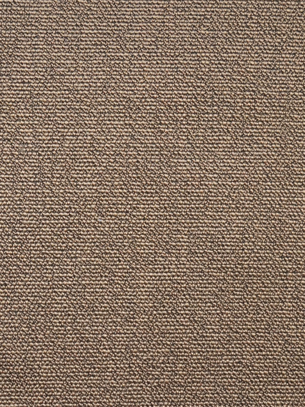 Scalamandre SC 000727247 SEPIA BOSS BOUCLE Fabric - Eade's Wallpaper
