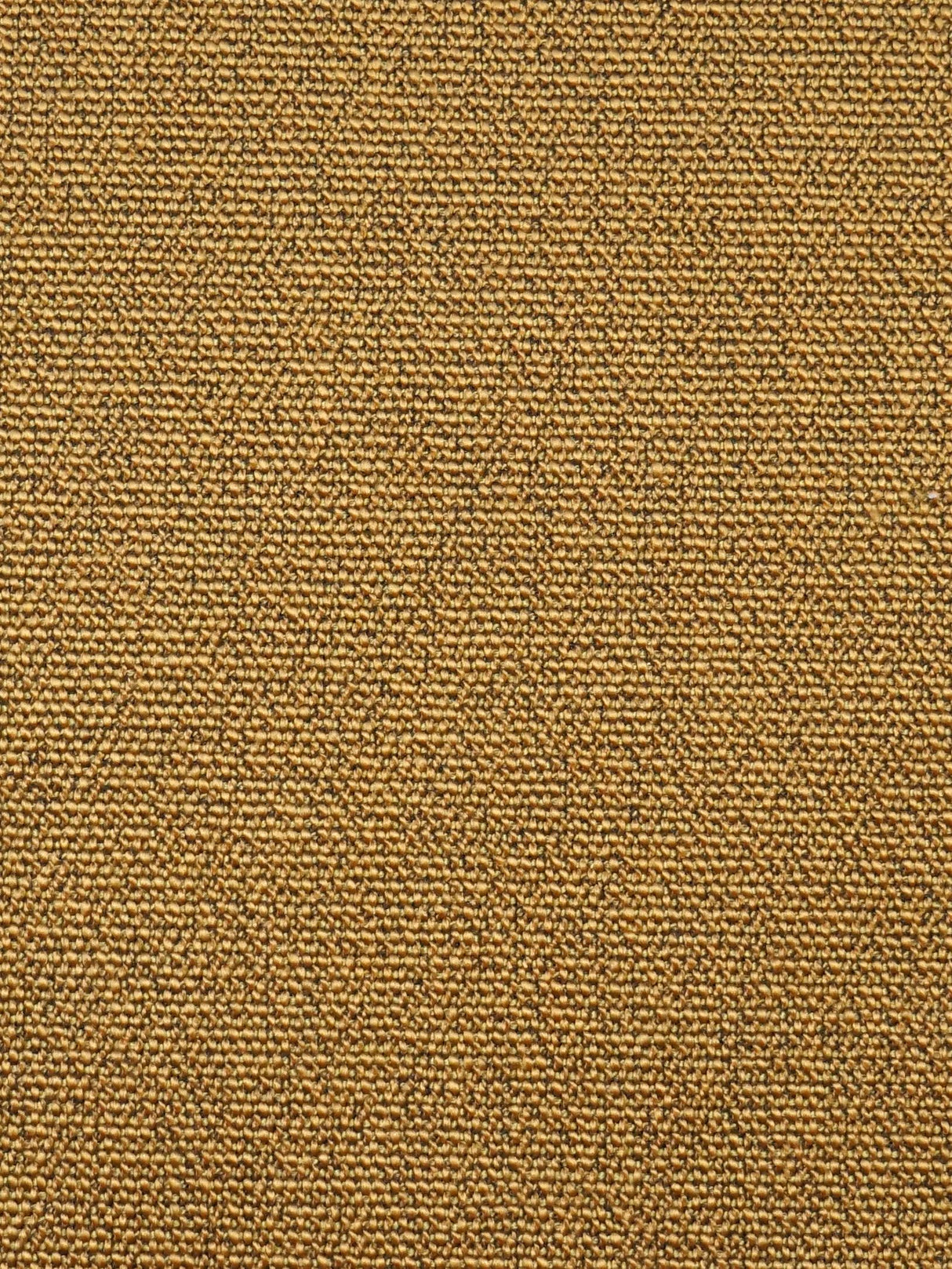 Scalamandre SC 000827247 BUTTERNUT BOSS BOUCLE Fabric - Eade's Wallpaper