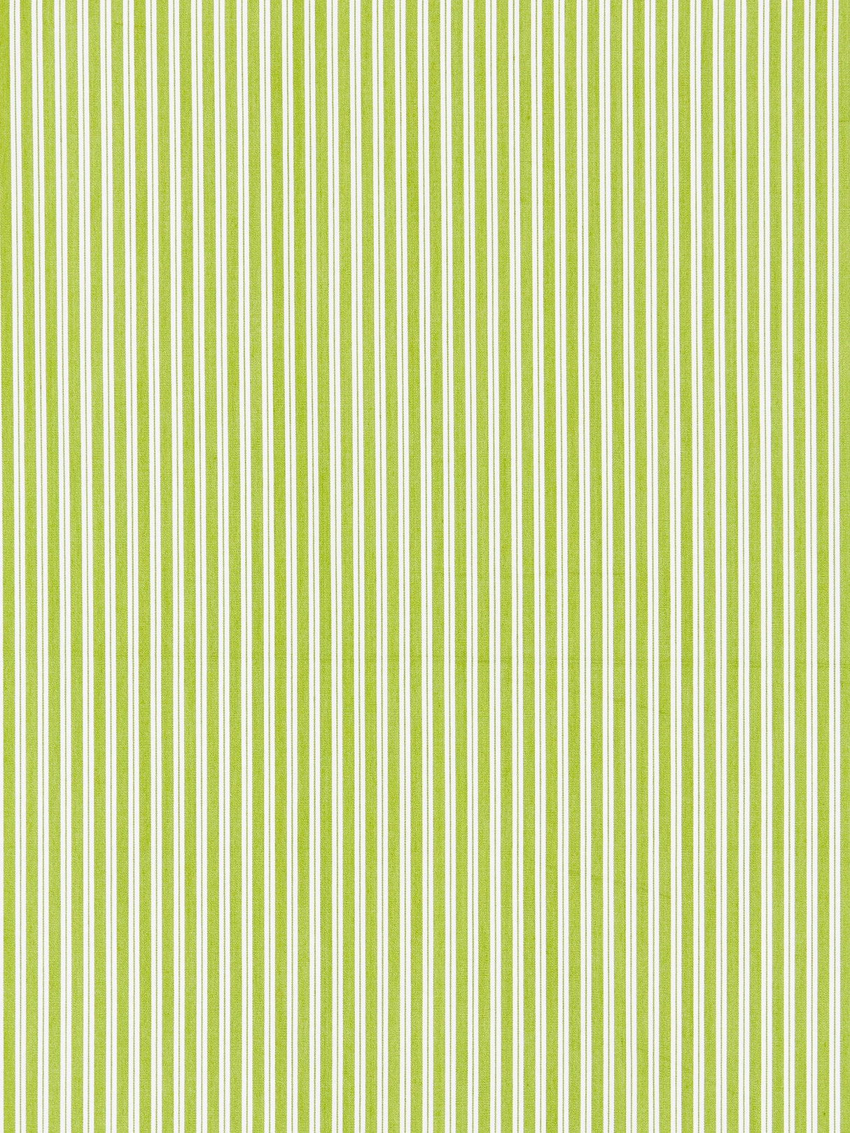 Scalamandre SC 001236395 PEAR KENT STRIPE Fabric - Eade's Wallpaper