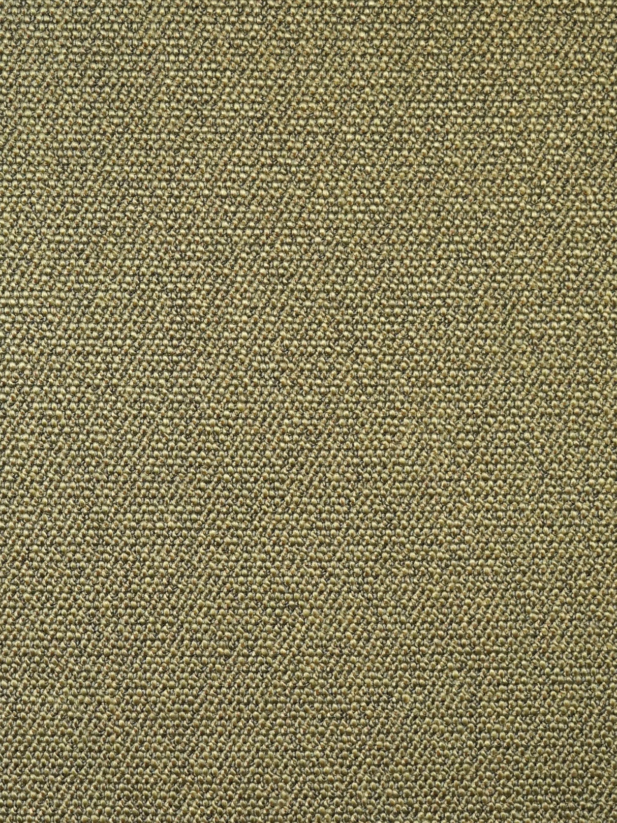 Scalamandre SC 002127247 SEAWEED BOSS BOUCLE Fabric - Eade's Wallpaper