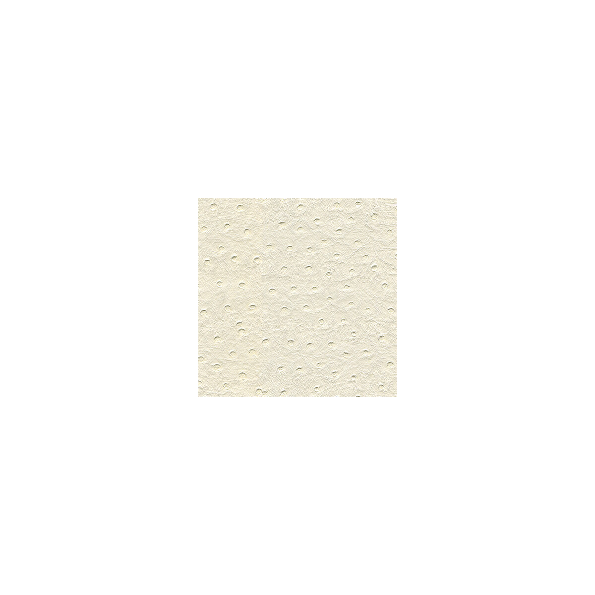 KRAVET DESIGN SENNA.101.0 KRAVET DESIGN SENNA-101 Fabric - Eade's Wallpaper