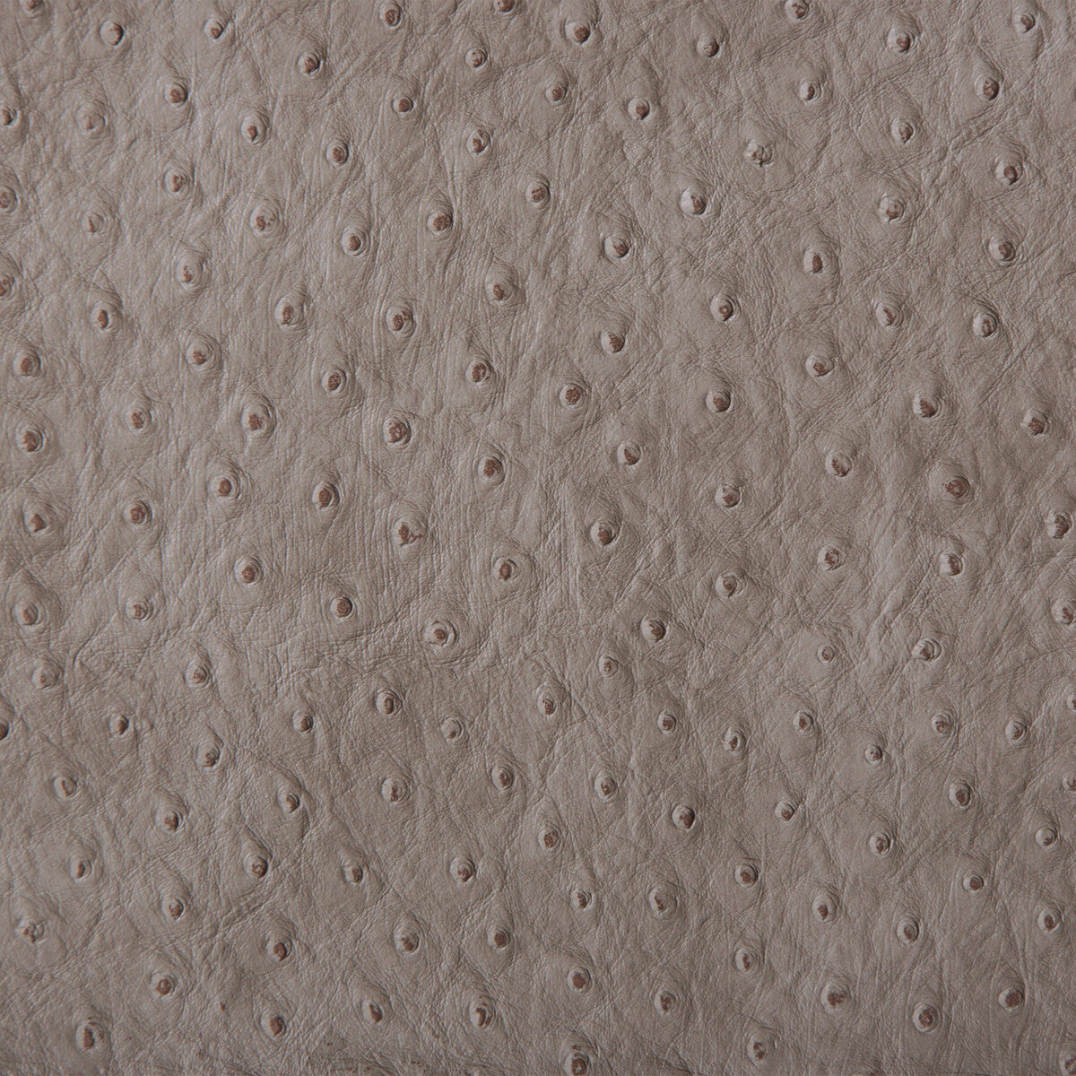 KRAVET DESIGN SENNA.11.0 KRAVET DESIGN SENNA-11 Fabric - Eade's Wallpaper