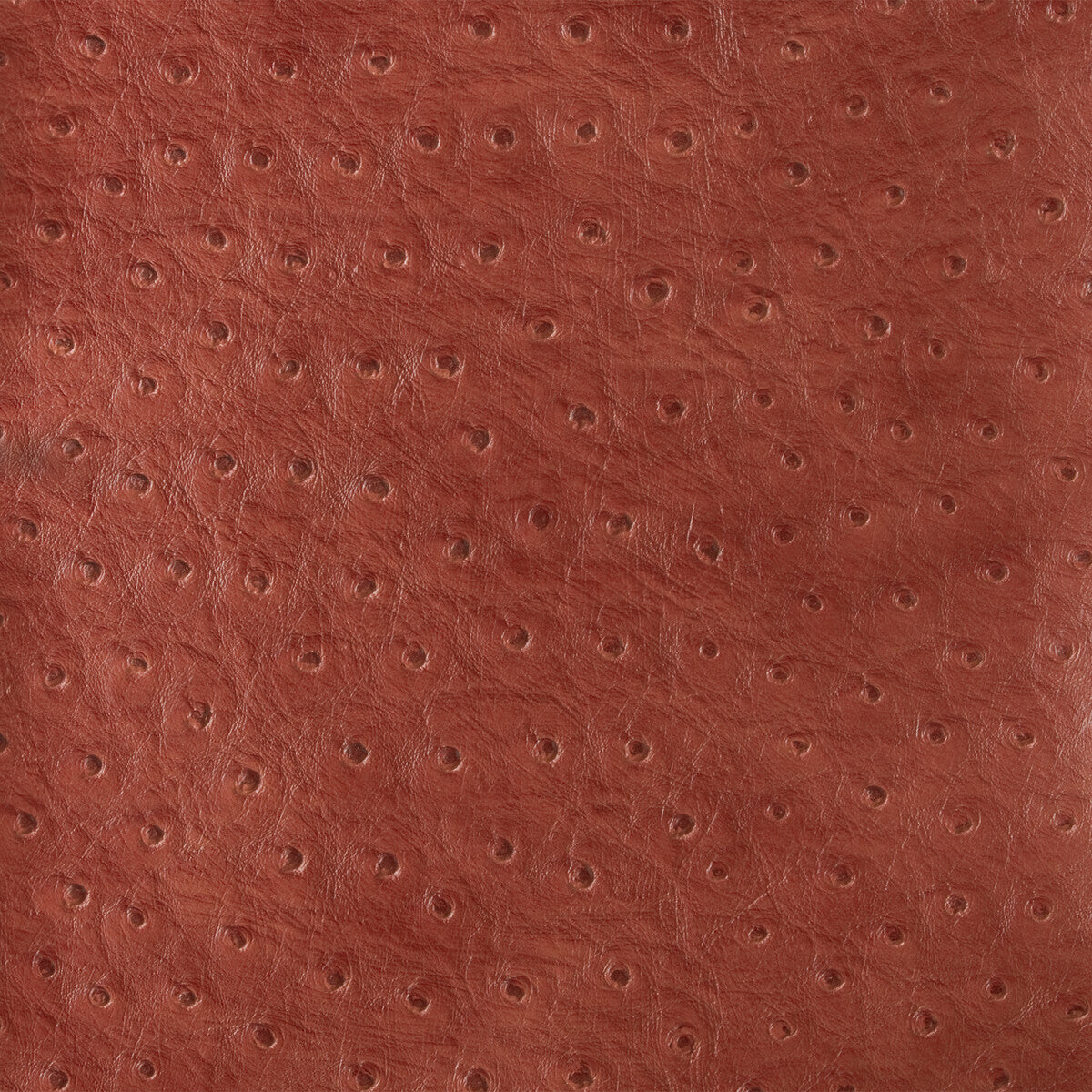 KRAVET DESIGN SENNA.19.0 KRAVET DESIGN SENNA-19 Fabric - Eade's Wallpaper