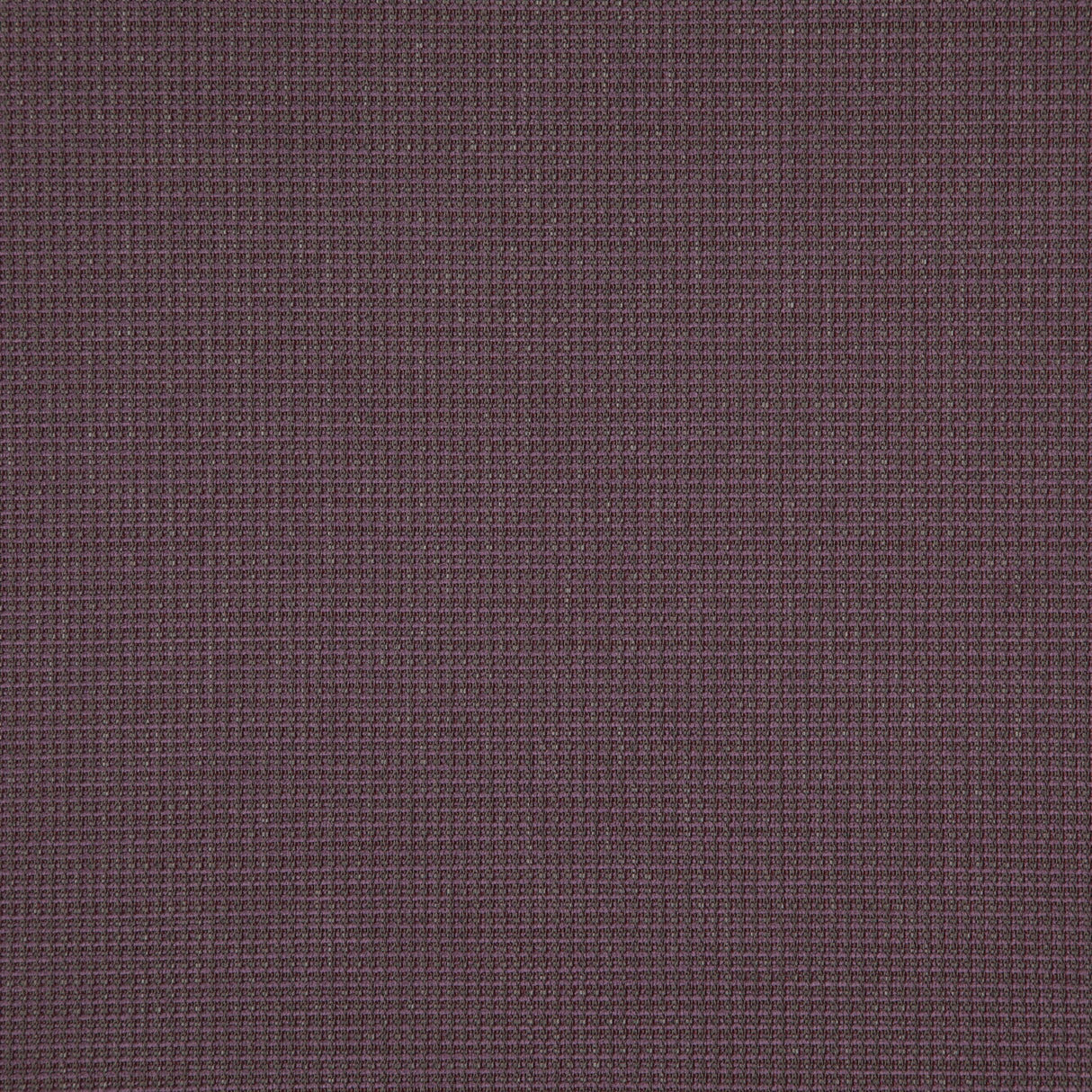 fibre-guard 59-J8321 SENTENCE Fabric - Eade's Wallpaper & Fabric