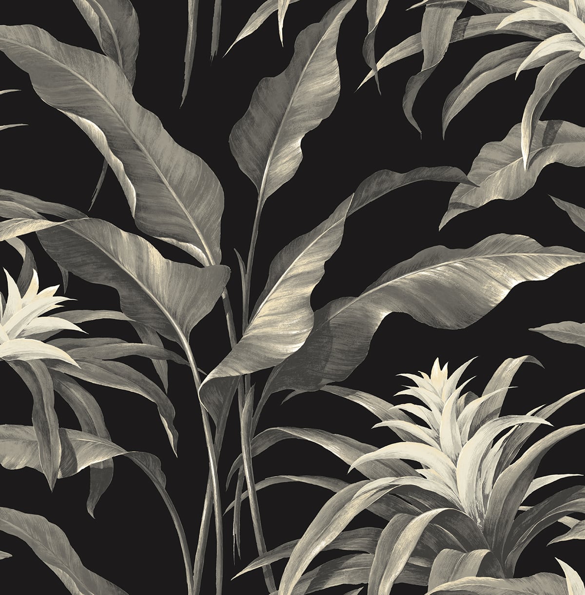 Stacy Garcia Home SG10300 Palma Wallpaper