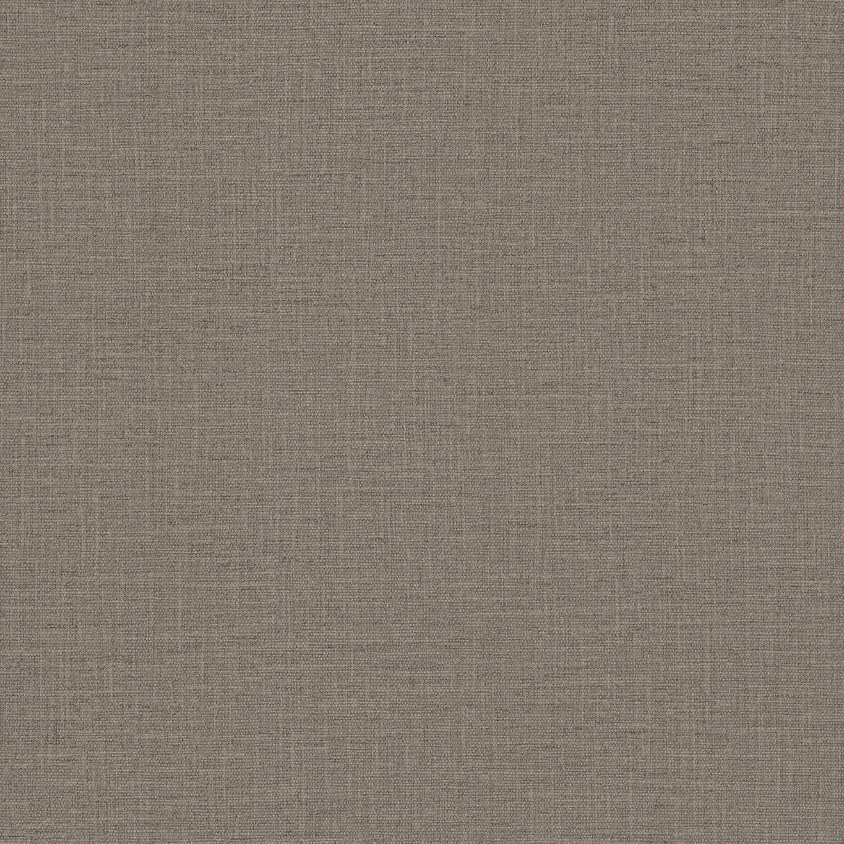 Eade’s Loom Mushroom