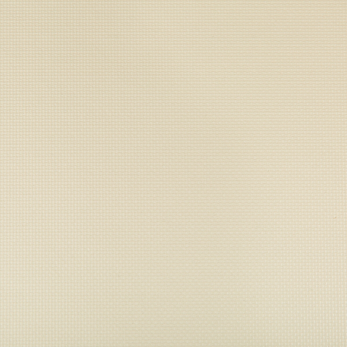 KRAVET CONTRACT SIDNEY.116.0 SIDNEY PAPYRUS Fabric - Eade's Wallpaper