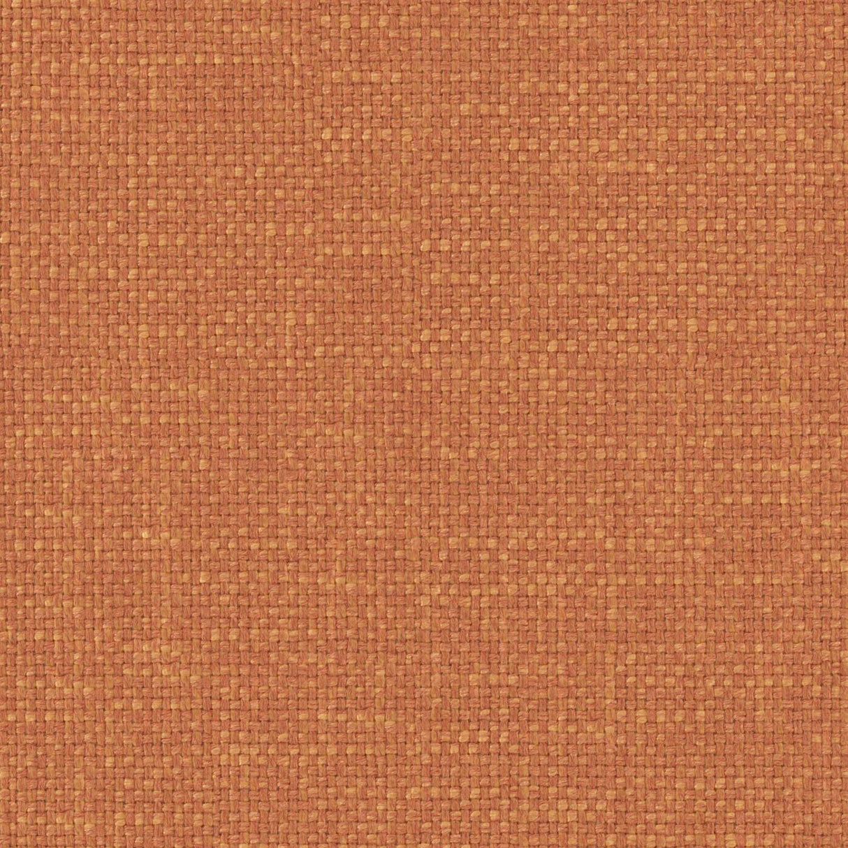 Eade’s # 902 CANYON