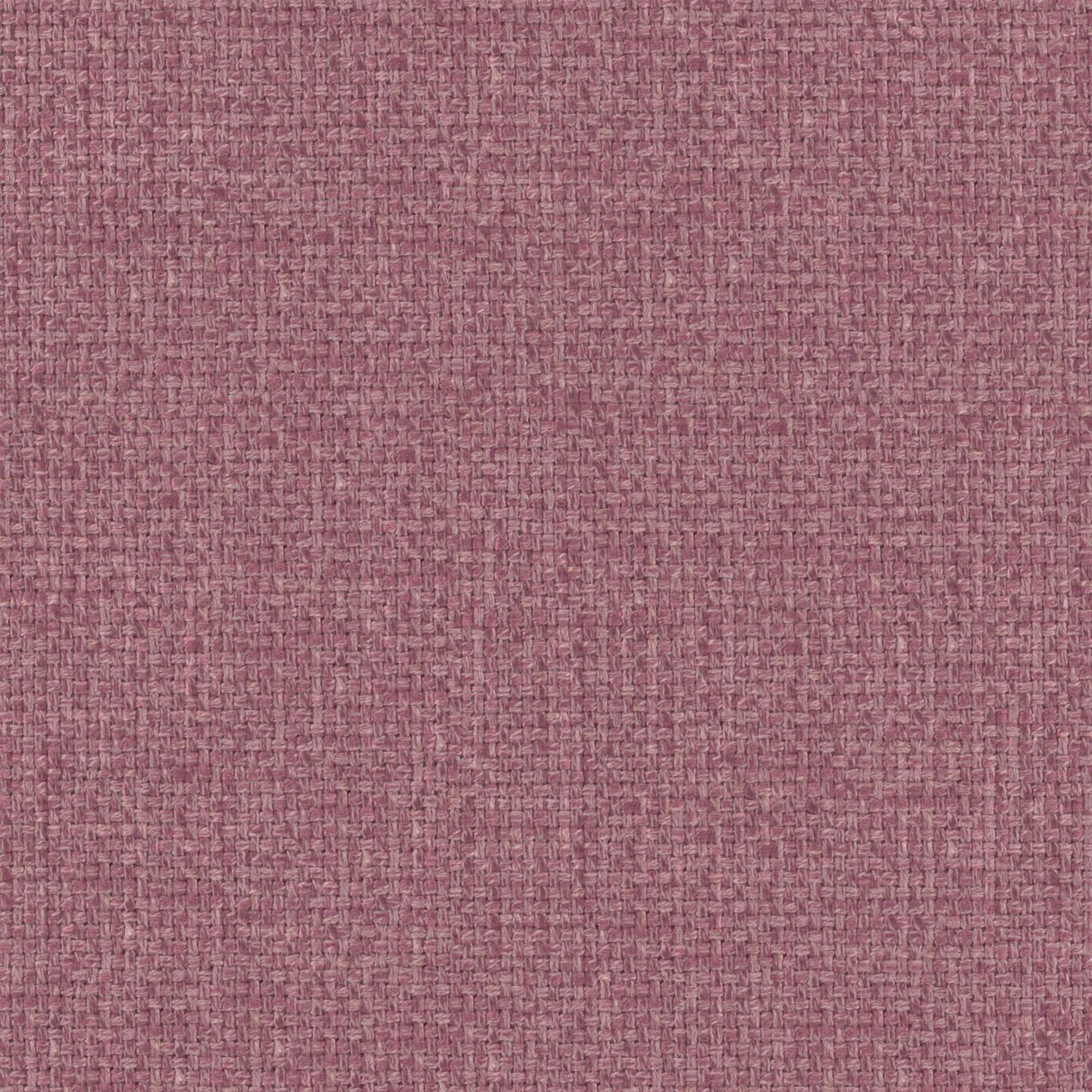 Eade’s # 930 AZALEA