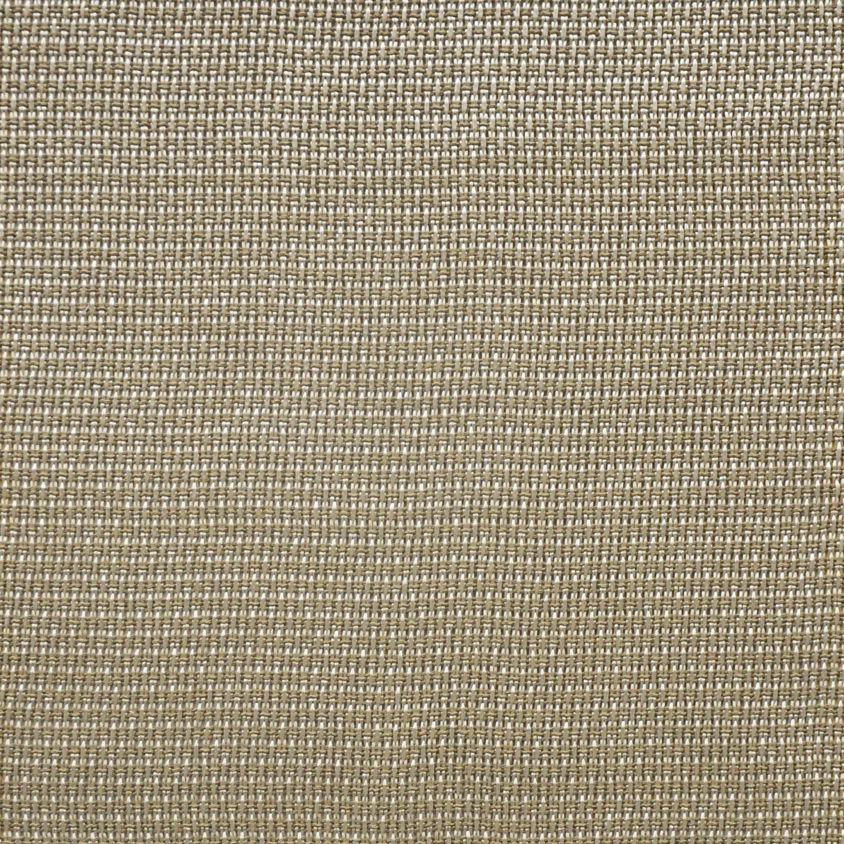 Eade’s # 410 PYRITE