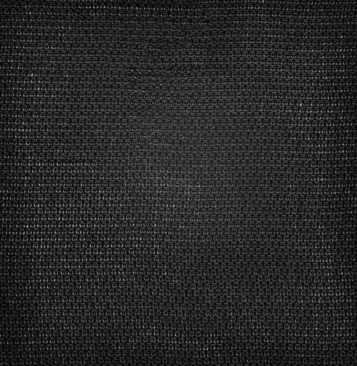 Eade’s # 447 CARBON