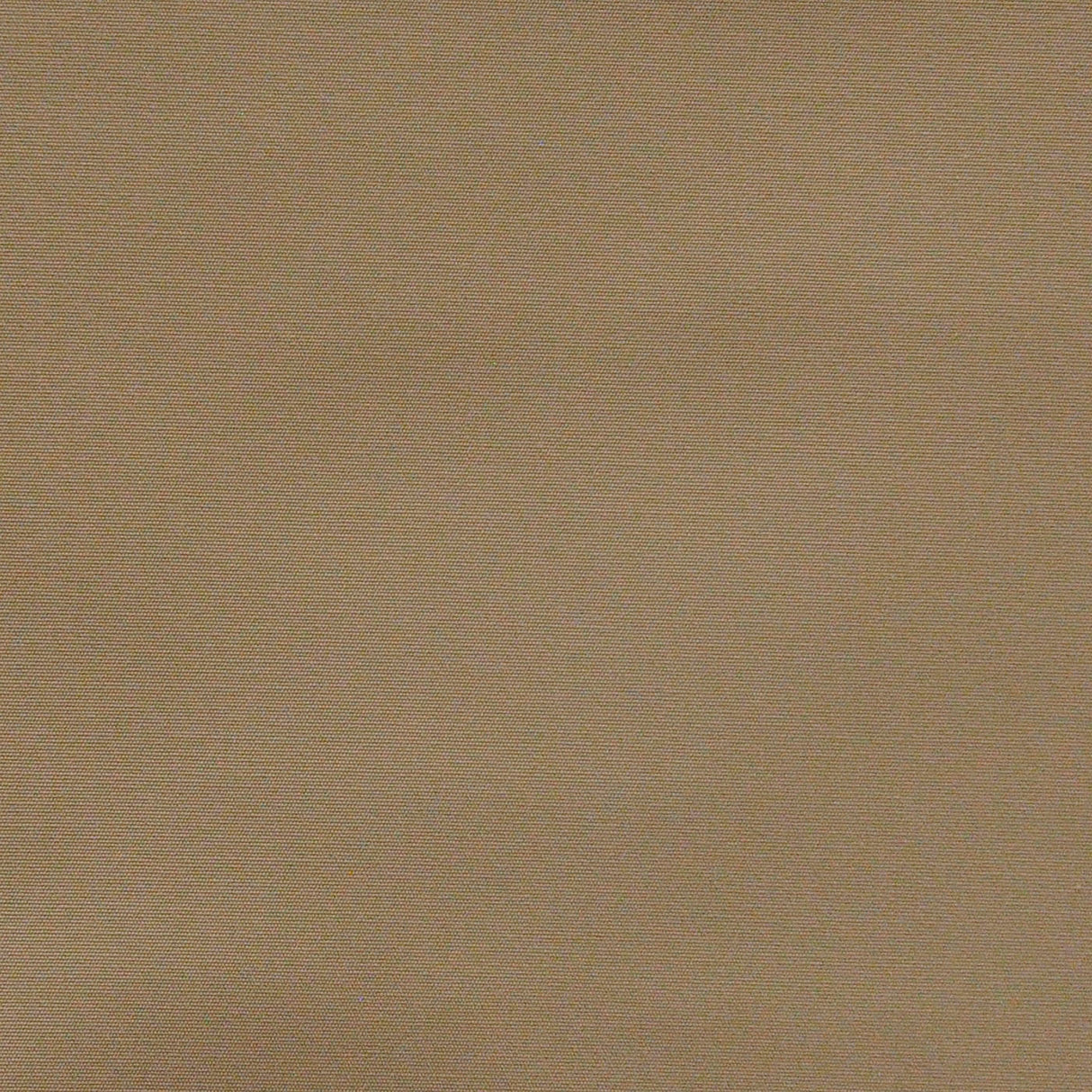 Eade’s # 614 BISCUIT