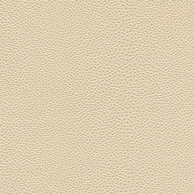 Eade’s # 1067 SEASHELL