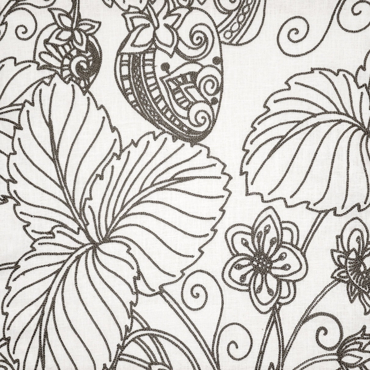 Eade’s # 235 FOSSIL