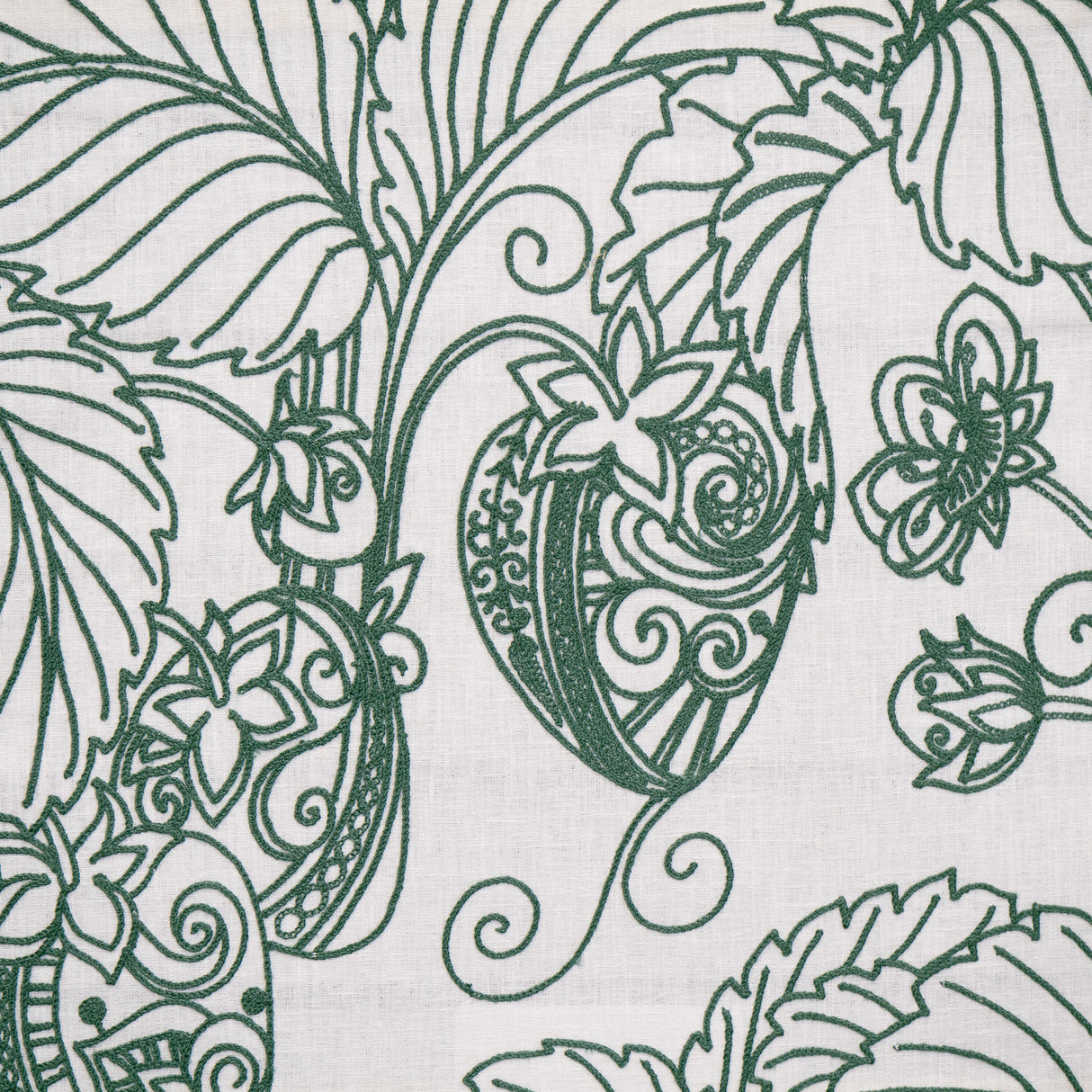 Eade’s # 331 LACINATO