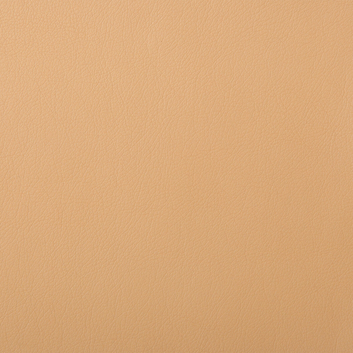 KRAVET DESIGN SOLARIS.16.0 KRAVET DESIGN SOLARIS-16 Fabric - Eade's Wallpaper