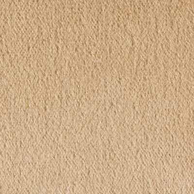 KRAVET COUTURE SP-89778.801.0 KRAVET COUTURE SP-89778-801 Fabric - Eade's Wallpaper