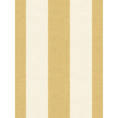 KRAVET DESIGN SPARKLE.14.0 SPARKLE GOLD Fabric - Eade's Wallpaper