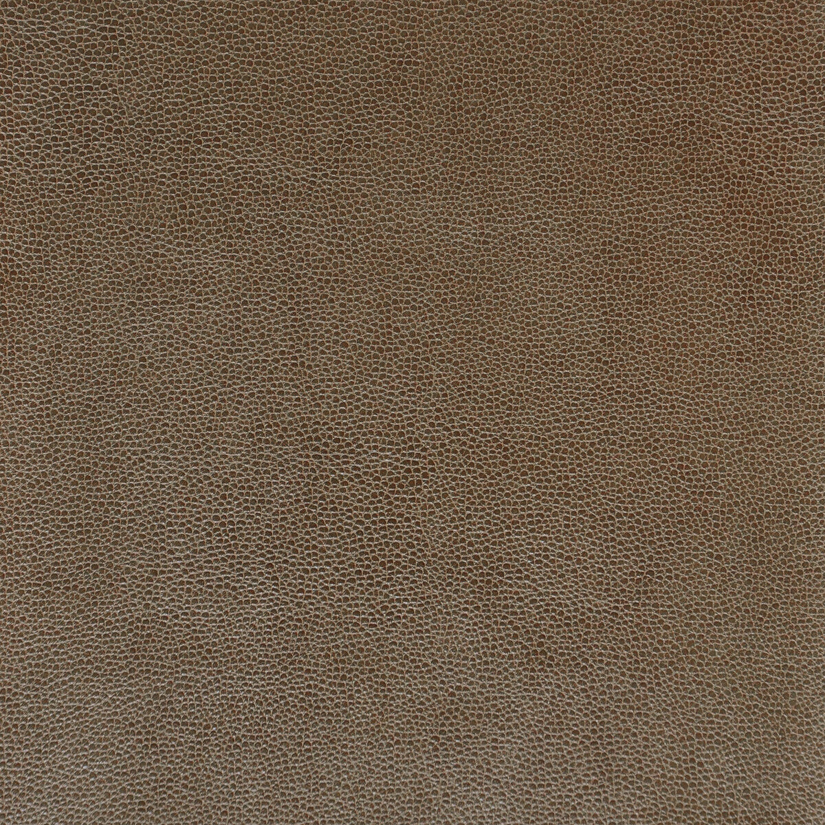 KRAVET DESIGN SPARTA.106.0 KRAVET DESIGN SPARTA-106 Fabric - Eade's Wallpaper