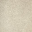 KRAVET DESIGN SPARTA.1101.0 KRAVET DESIGN SPARTA-1101 Fabric - FAUX LEATHER IV