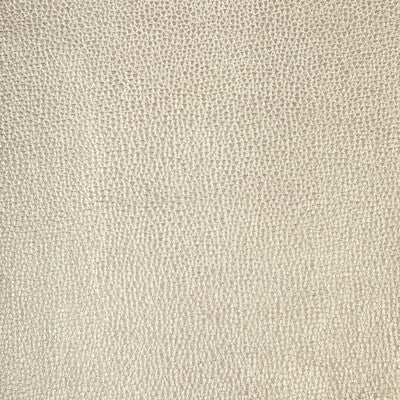 KRAVET DESIGN SPARTA.1101.0 KRAVET DESIGN SPARTA-1101 Fabric - FAUX LEATHER IV