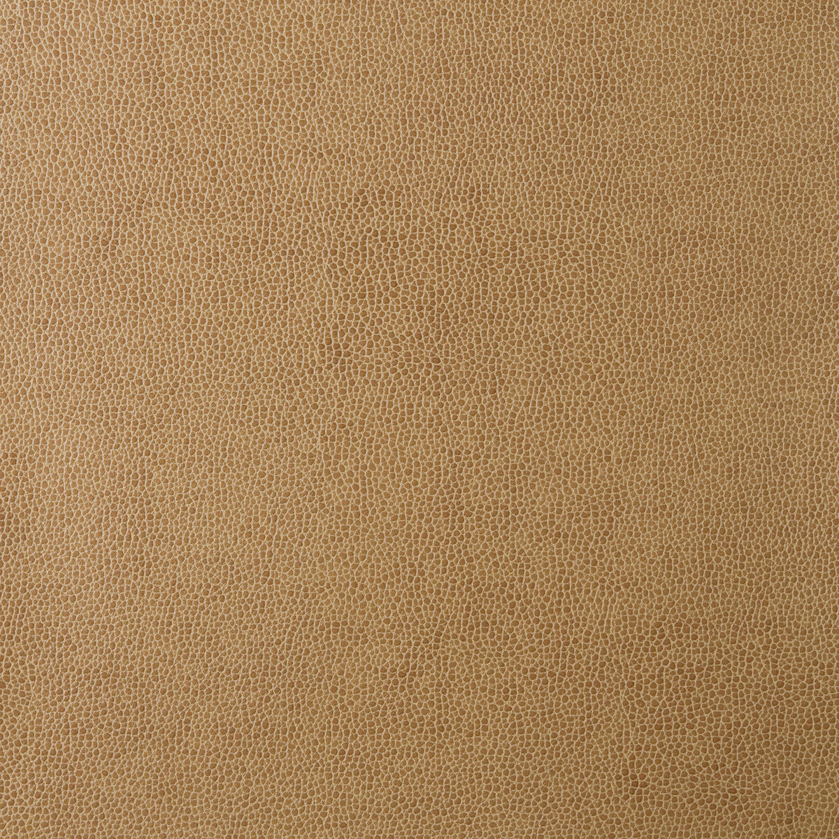 KRAVET DESIGN SPARTA.16.0 KRAVET DESIGN SPARTA-16 Fabric - Eade's Wallpaper