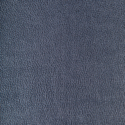KRAVET DESIGN SPARTA.511.0 KRAVET DESIGN SPARTA-511 Fabric - FAUX LEATHER IV