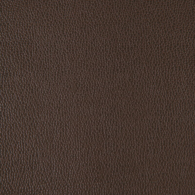 KRAVET DESIGN SPARTA.6666.0 KRAVET DESIGN SPARTA-6666 Fabric - FAUX LEATHER IV