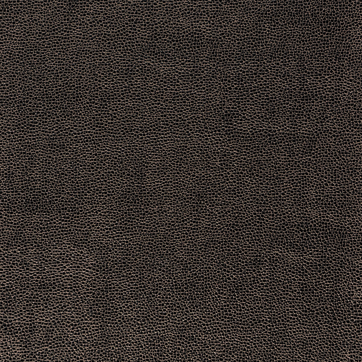 KRAVET DESIGN SPARTA.811.0 KRAVET DESIGN SPARTA-811 Fabric - Eade's Wallpaper