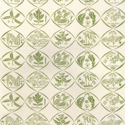 KRAVET COUTURE SPICES.31.0 SPICES CACTUS Fabric - HARWOOD STEIGER