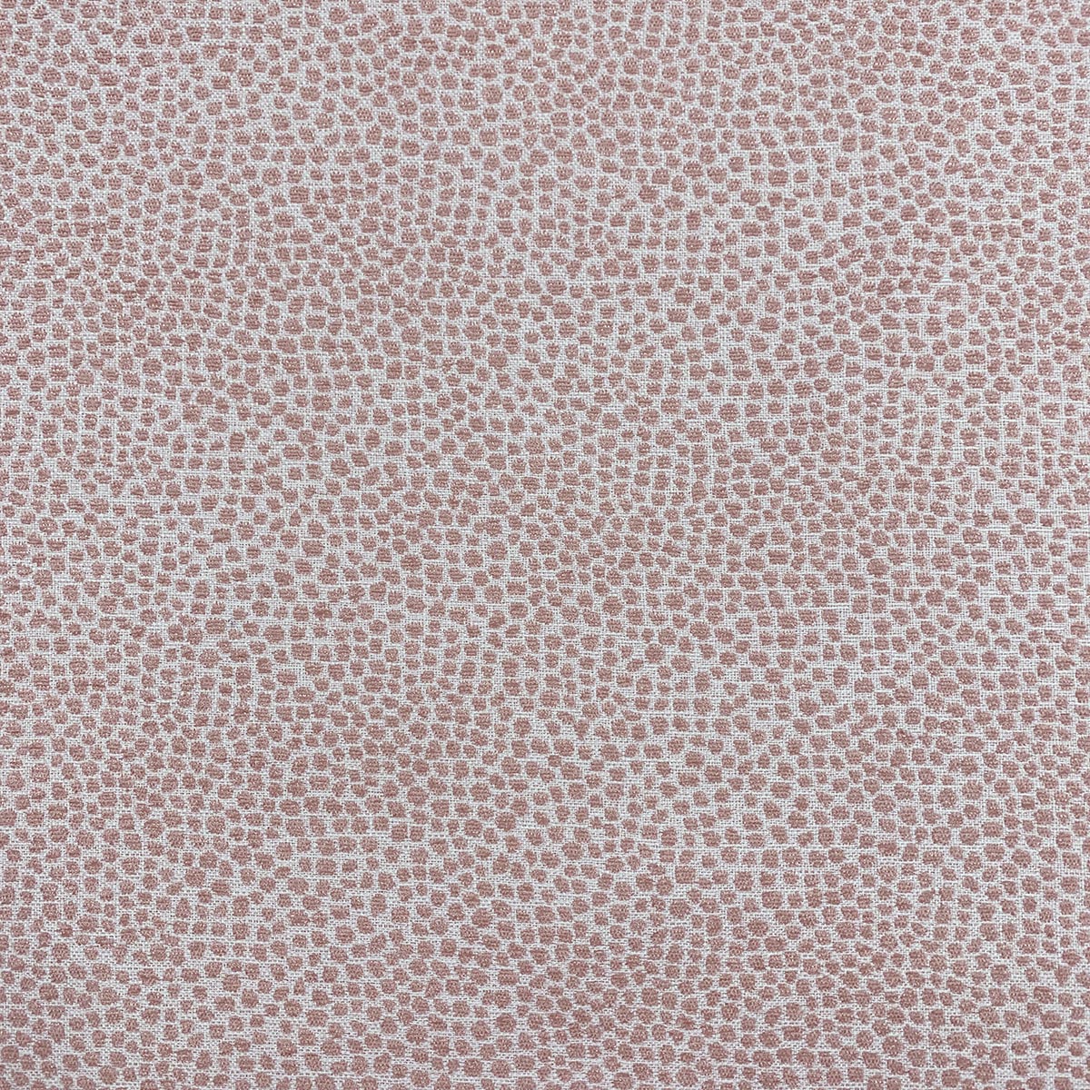 Eade’s SPOT POSEY POSEY