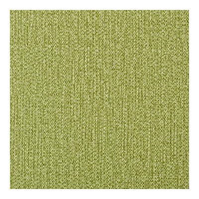 KRAVET CONTRACT SPREE.3.0 SPREE CACTUS Fabric - Eade's Wallpaper