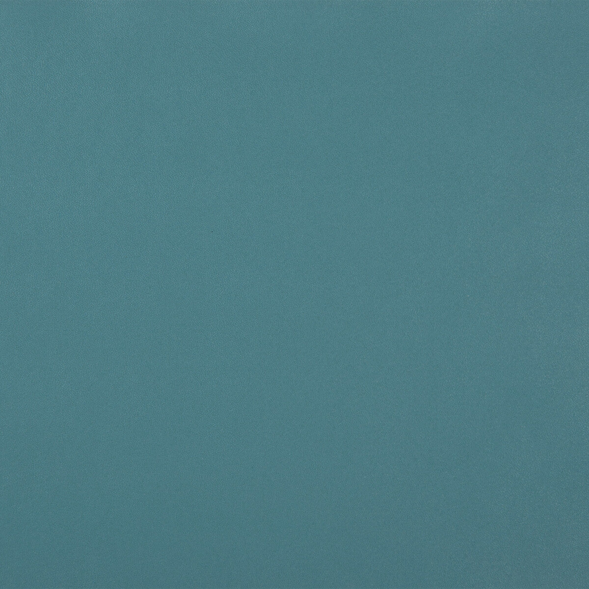 KRAVET DESIGN SPROCKET.35.0 KRAVET DESIGN SPROCKET-35 Fabric - Eade's Wallpaper