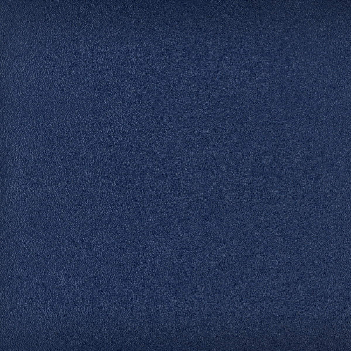 KRAVET DESIGN SPROCKET.5.0 KRAVET DESIGN SPROCKET-5 Fabric - Eade's Wallpaper