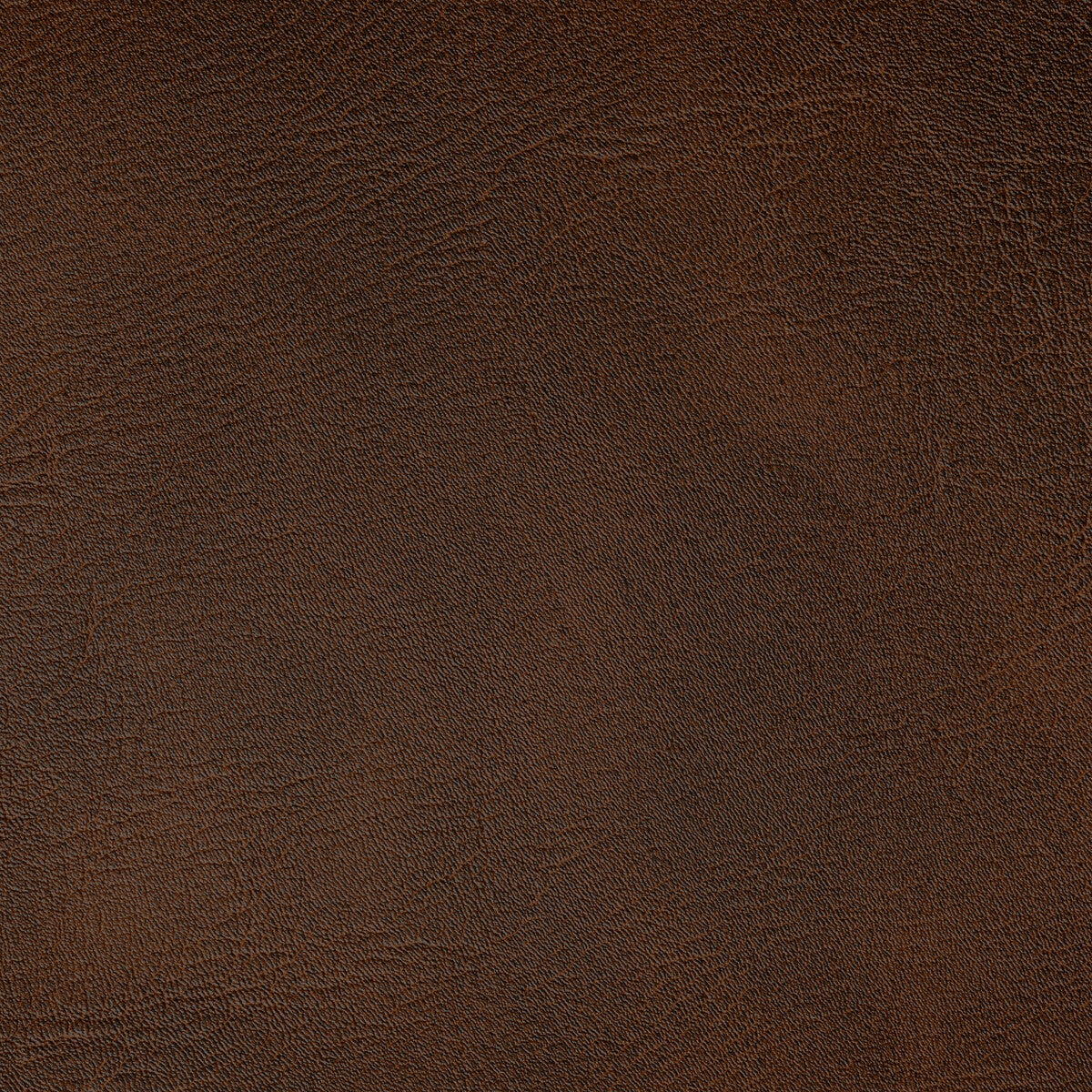 KRAVET CONTRACT SPUR.6.0 SPUR BRONCO Fabric - Eade's Wallpaper