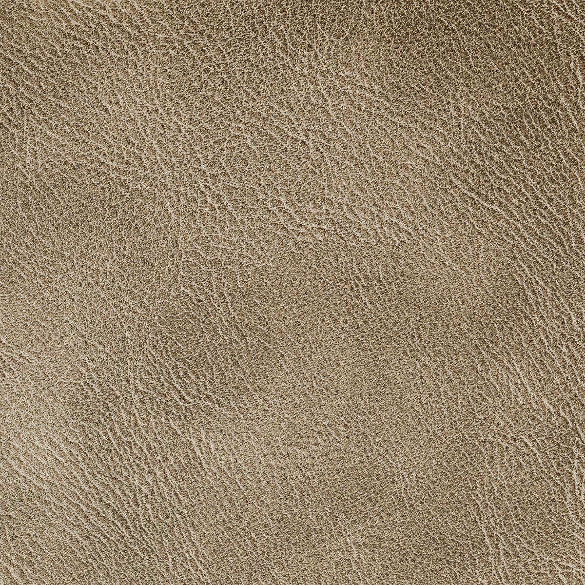 KRAVET CONTRACT SPUR.606.0 SPUR COCOA Fabric - Eade's Wallpaper