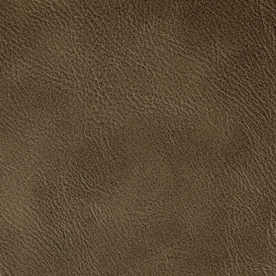 KRAVET CONTRACT SPUR.616.0 SPUR PECAN Fabric - Eade's Wallpaper