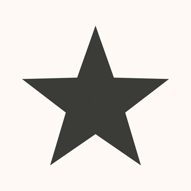Galerie SS21244 Black Single Star Black - Eade's Wallpaper
