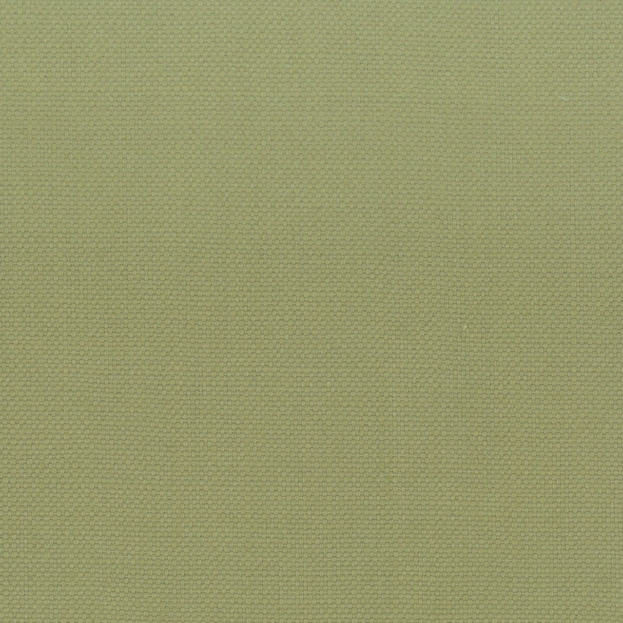 Eade's STAN-1-sample PISTACHIO