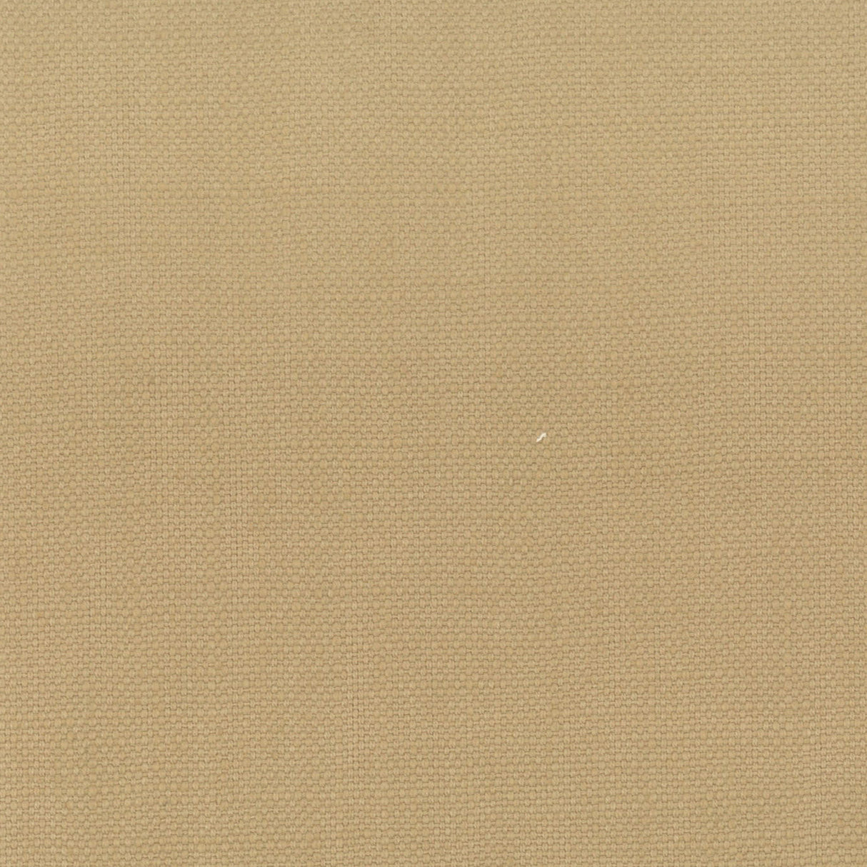 Eade's STAN-23-sample RAFFIA